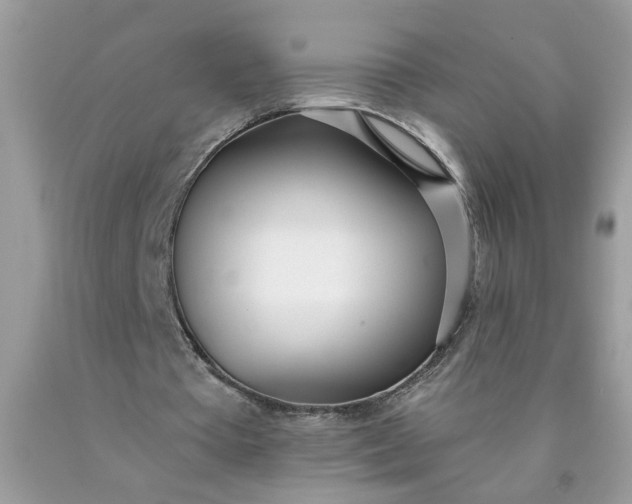 X0000090420385200707272115