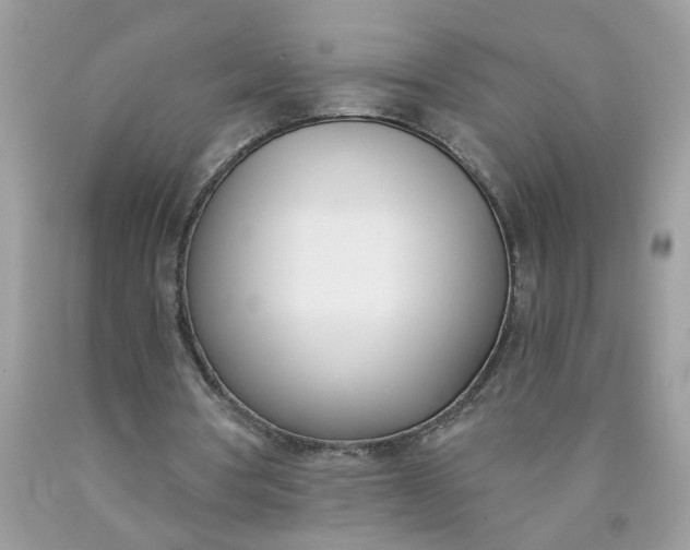 X0000090420386200707272115