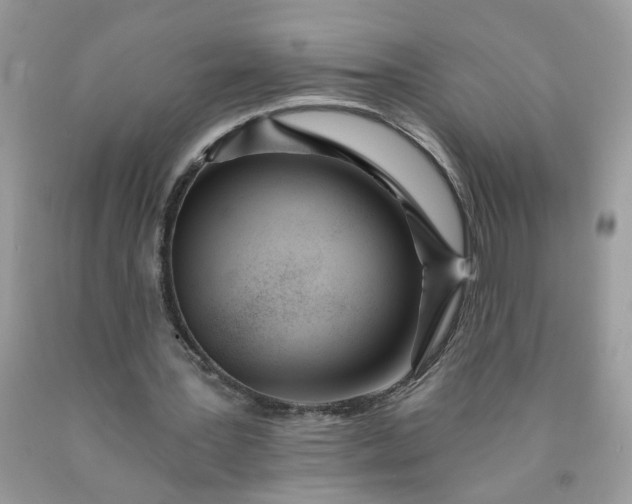 X0000090420387200707272115