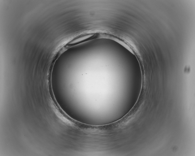 X0000090420389200707272115