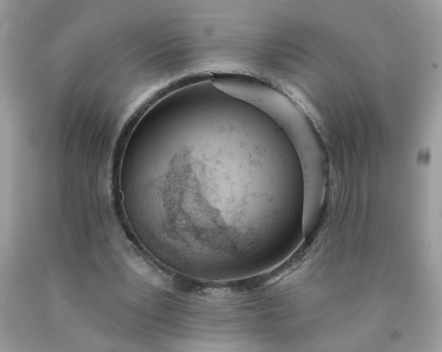 X0000090420391200707272115