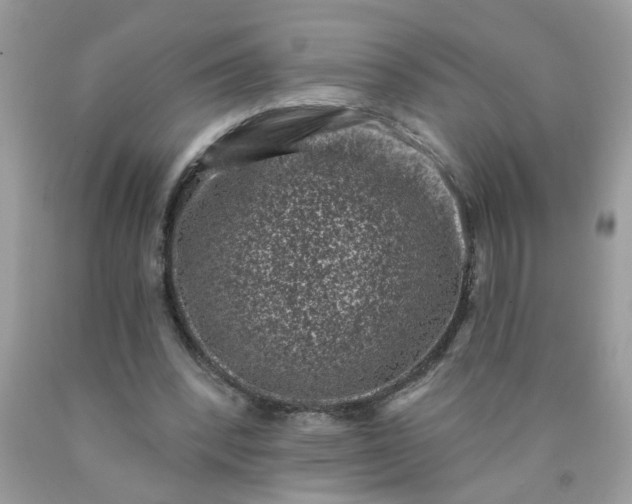 X0000090420392200707272115