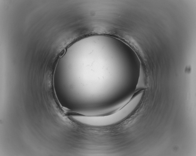 X0000090420393200707272115