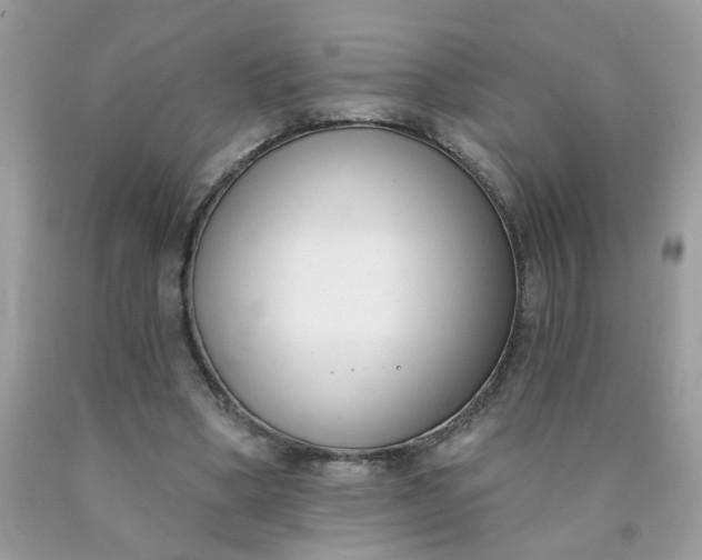 X0000090420394200707272115