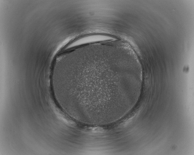 X0000090420395200707272115