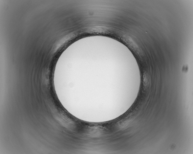 X0000090420396200707272115