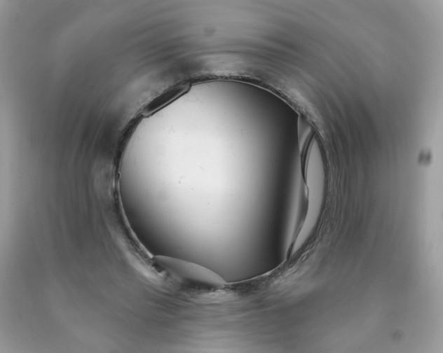 X0000090420397200707272115