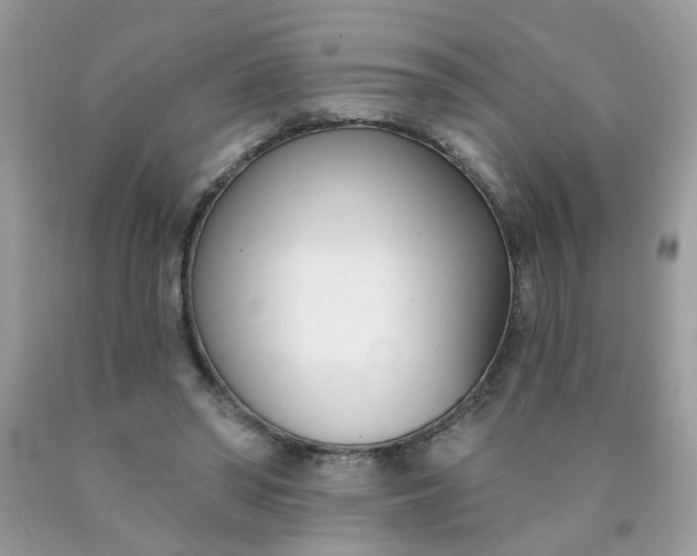 X0000090420398200707272115