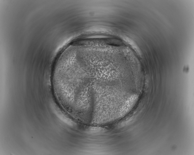 X0000090420399200707272115