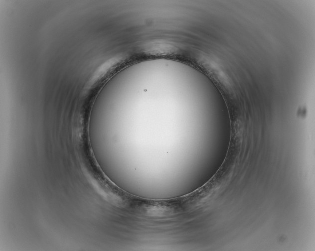 X0000090420400200707272115