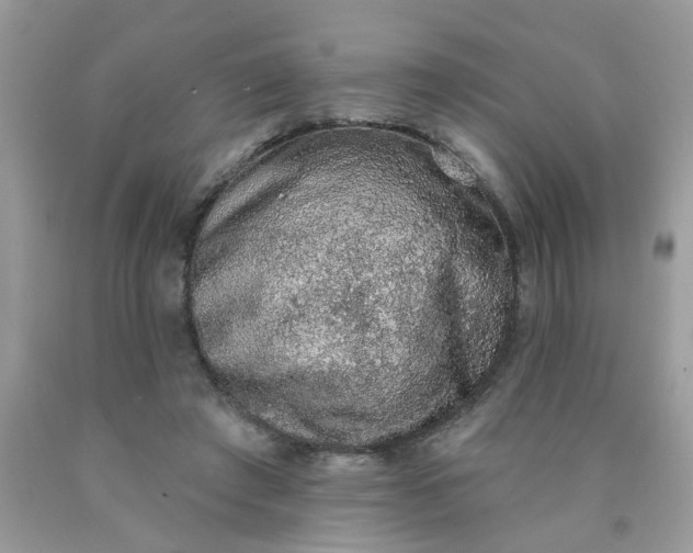 X0000090420401200707272115