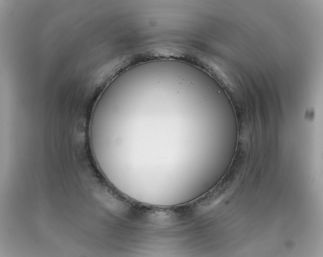 X0000090420402200707272115