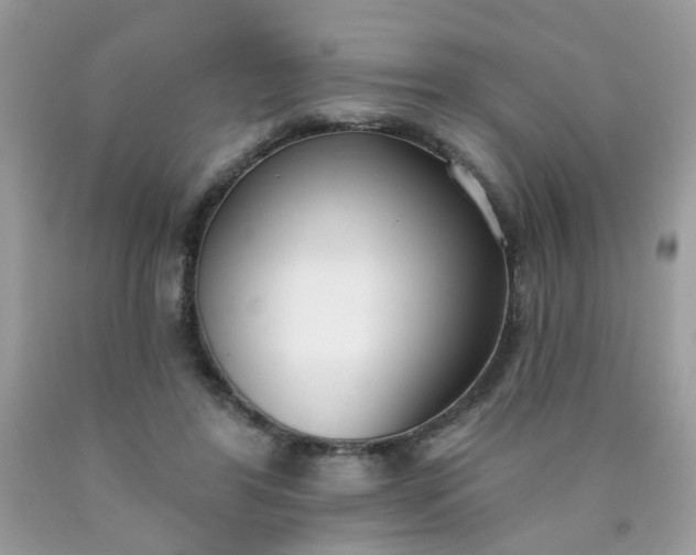 X0000090420404200707272115