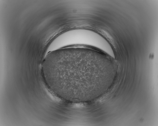 X0000090420405200707272115