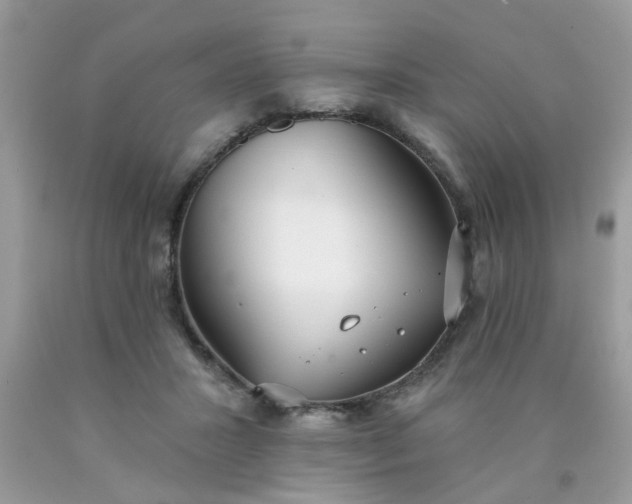 X0000090420407200707272115