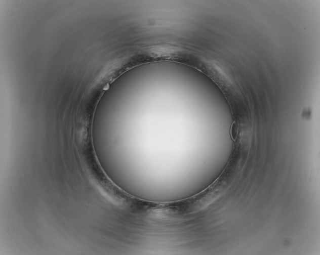 X0000090420408200707272115