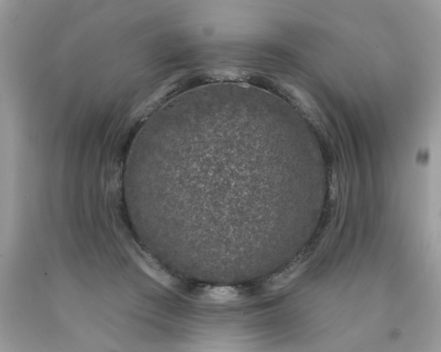 X0000090420409200707272115