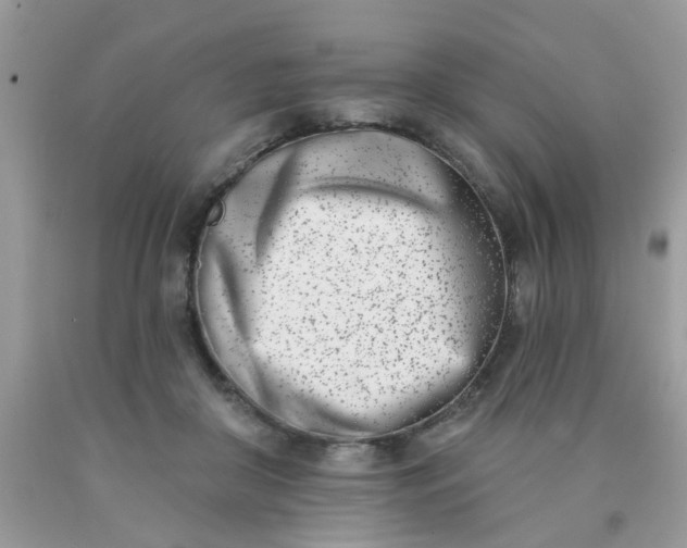 X0000090420410200707272115