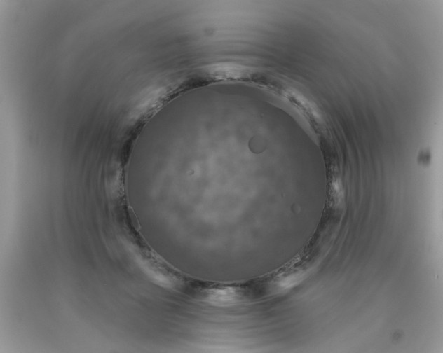 X0000090420411200707272115