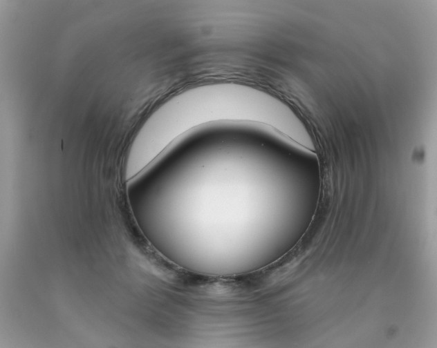 X0000090420412200707272115