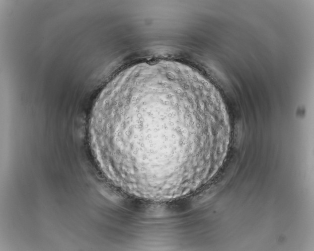 X0000090420413200707272115