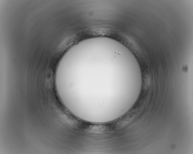 X0000090420414200707272115