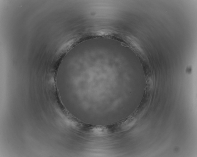 X0000090420415200707272115