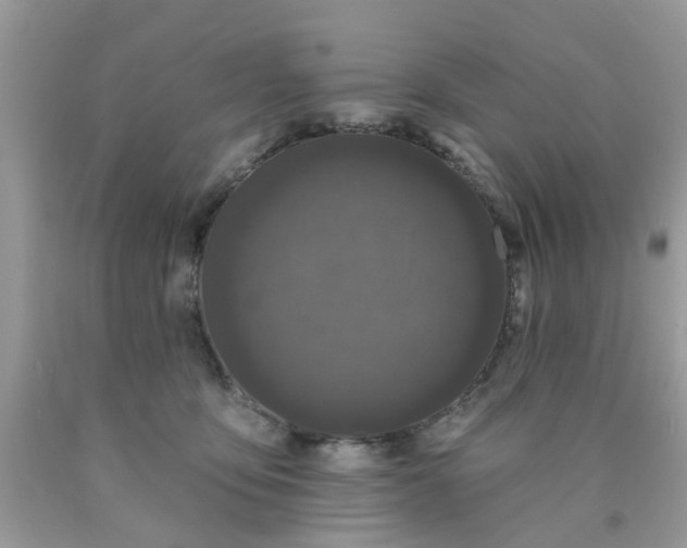 X0000090420419200707272115