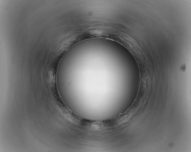 X0000090420420200707272115