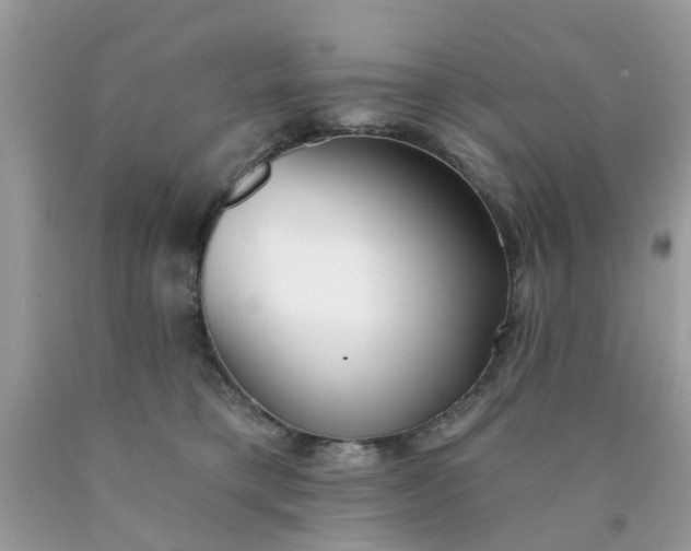 X0000090420421200707272115