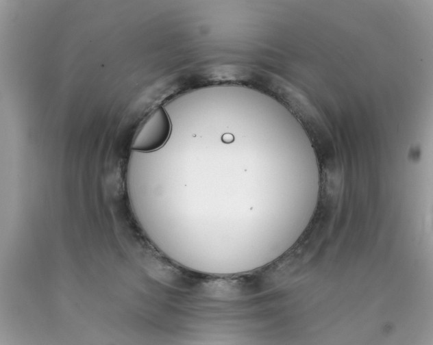 X0000090420422200707272115