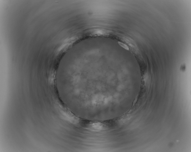 X0000090420423200707272115