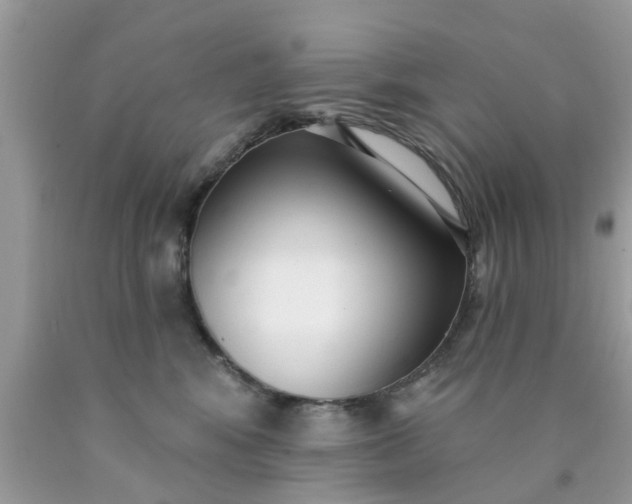 X0000090420424200707272114