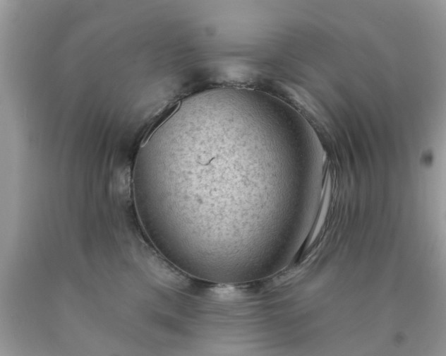 X0000090420425200707272114