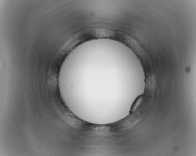 X0000090420426200707272114