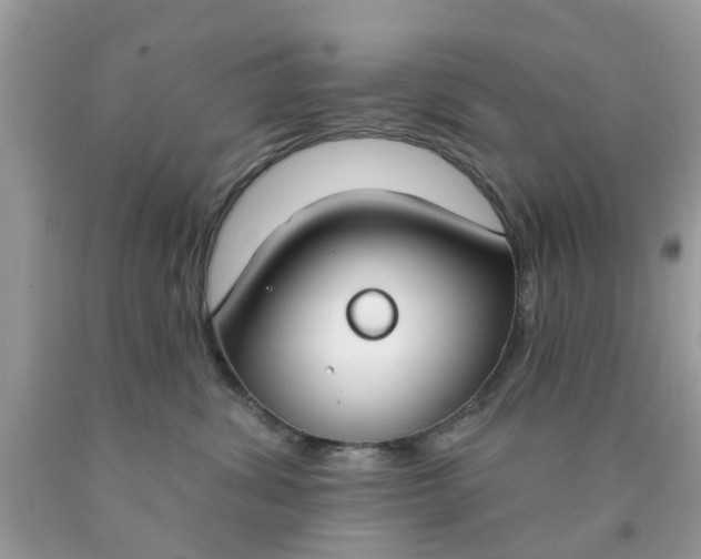 X0000090420428200707272114