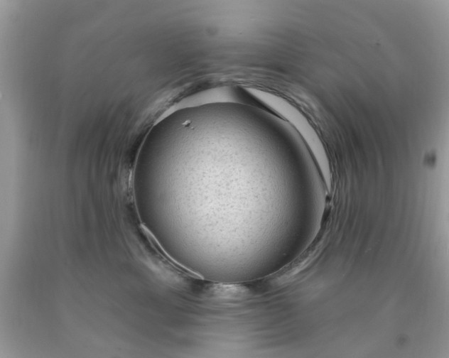 X0000090420429200707272114