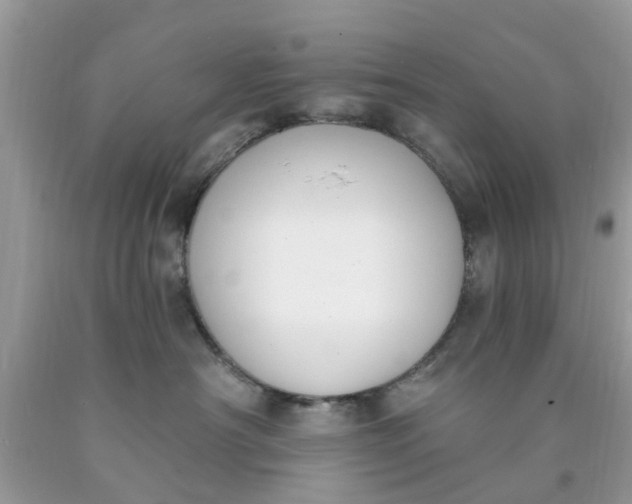 X0000090420430200707272114