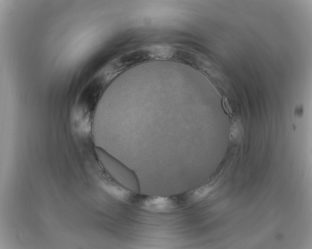 X0000090420431200707272114