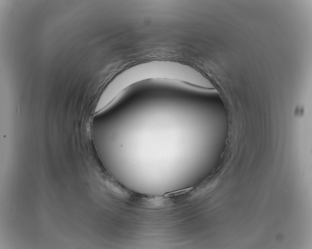 X0000090420432200707272114