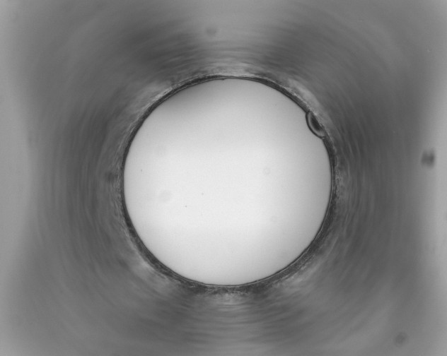 X0000090420433200707272114