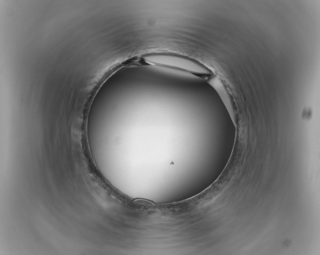 X0000090420434200707272114