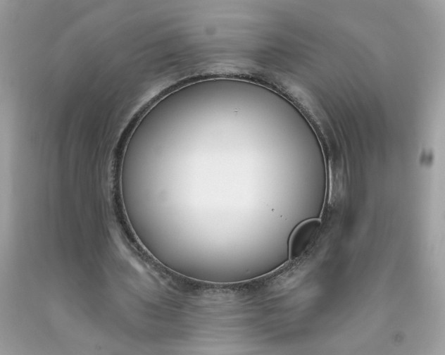 X0000090420435200707272114