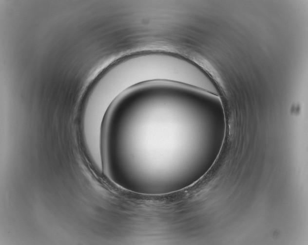 X0000090420436200707272114