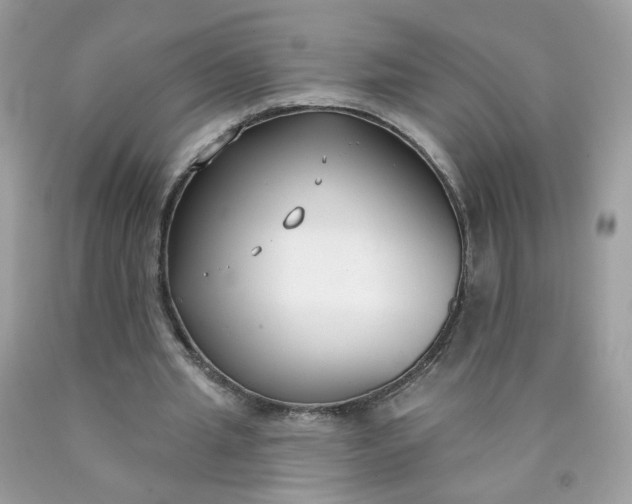 X0000090420437200707272114