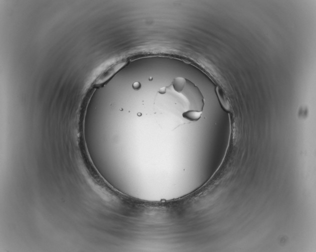 X0000090420438200707272114