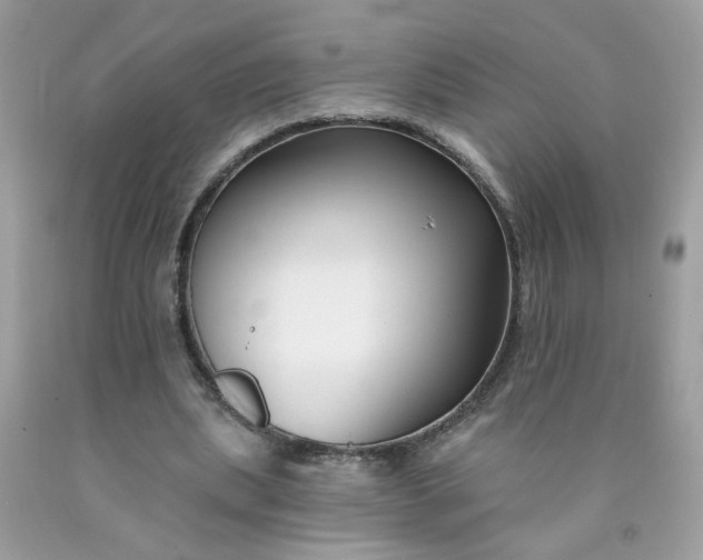 X0000090420439200707272114