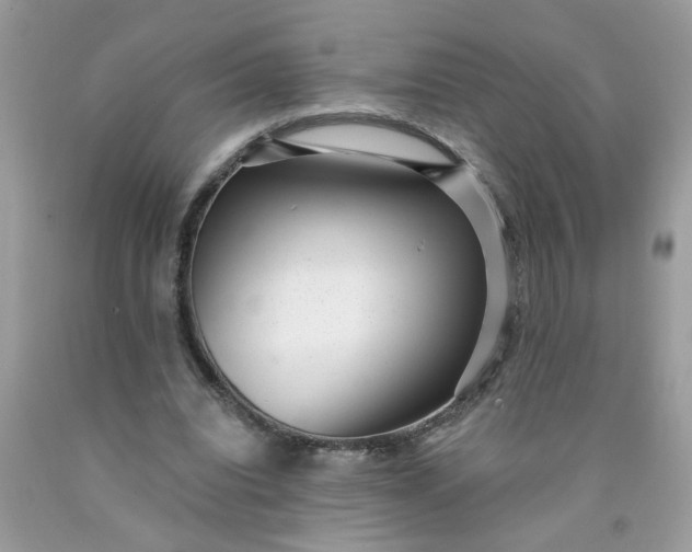 X0000090420440200707272114