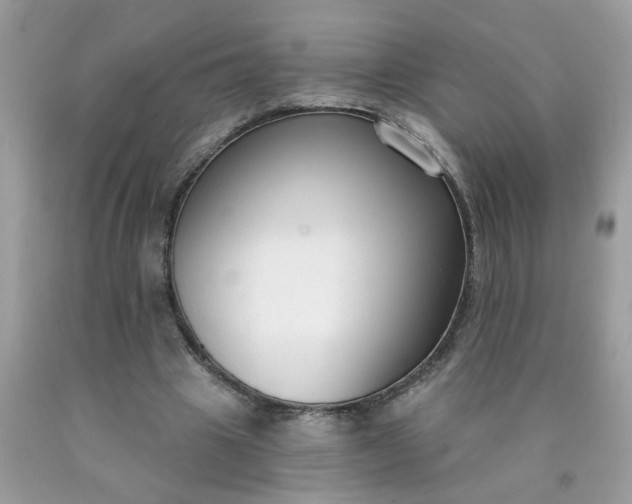 X0000090420441200707272114