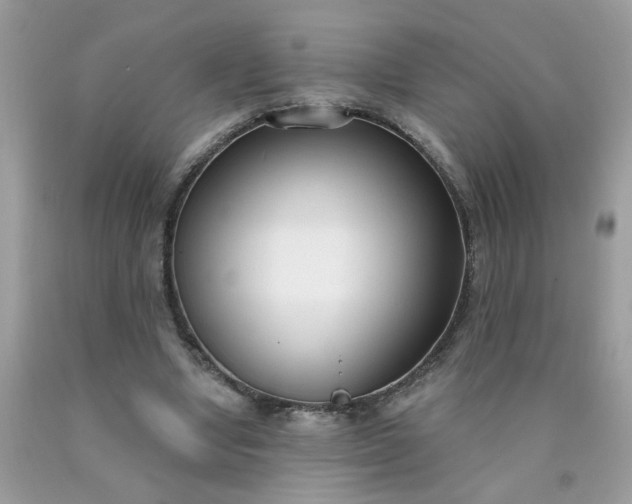 X0000090420442200707272114